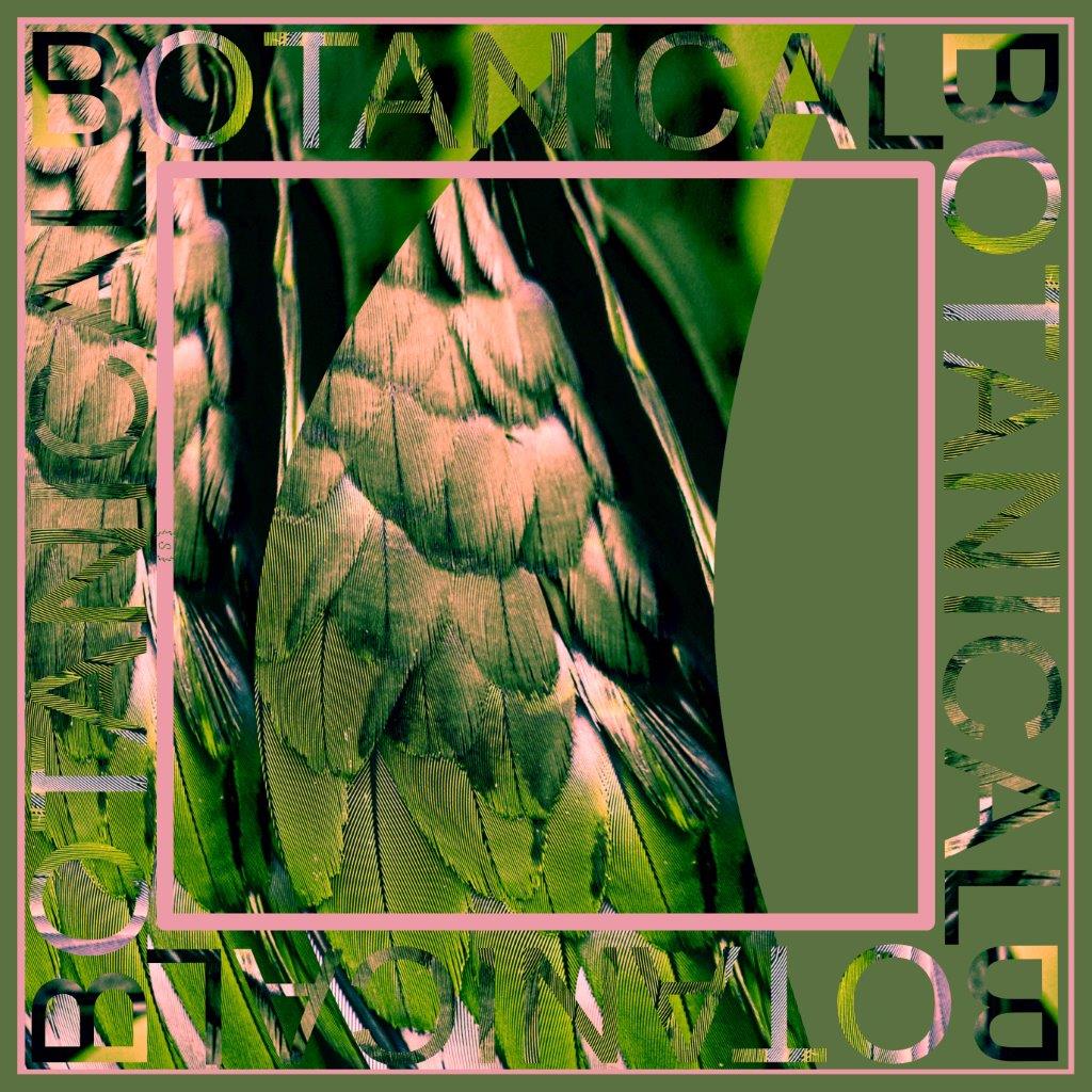 Botanical Feathers Army
