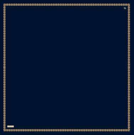 Fence Navy