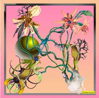 Teratology Pink
