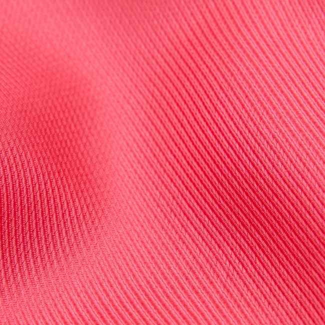 Begonia Ribbed 70cm
