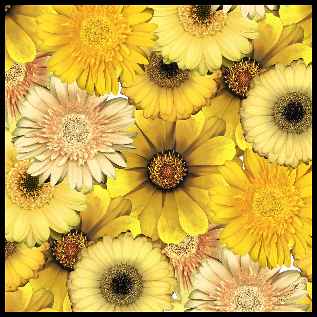 Clelia & Romy Studio Yellow sunflowers CM571-1 90cm