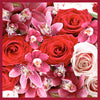 Clelia & Romy Studio Pink/red flower bouquet with pink border - CM547-1 90cm